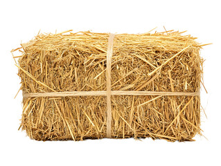 A tightly bound rectangular bale of dry golden straw tied with twine isolated on transparent background