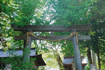 Suwa Grand Shrine Kamisya Maemiya in Nagano, Japan - 日本 長野 諏訪大社上社 前宮
