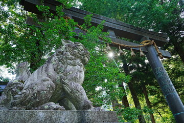 Suwa Grand Shrine Kamisya Maemiya in Nagano, Japan - 日本 長野 諏訪大社上社 前宮