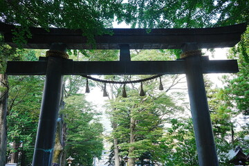 Suwa Grand Shrine Kamisya Maemiya in Nagano, Japan - 日本 長野 諏訪大社上社 前宮
