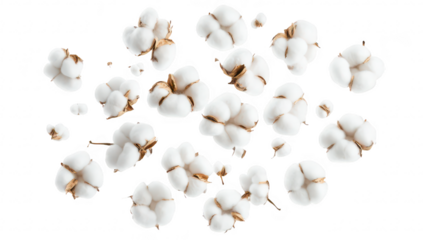 A close-up view of fluffy cotton bolls scattered against a white background. their natural texture and color. ideal for textile and agricultural themes