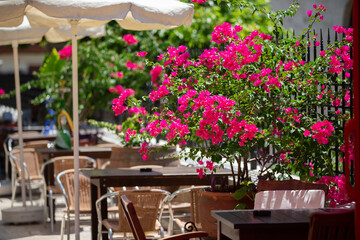 Outdoor dining area with colorful flowers and shaded seating in spring at a local cafe