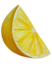 Watercolor lemon set. Half, slice, green leaf, branch of summer tropical fruit. Antiviral health food. Perfect for home decor, card making, cocktail menu.