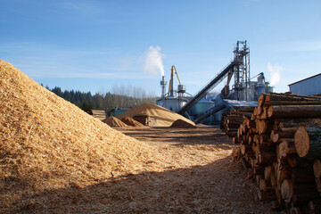 Fototapeta premium Lumber Mill with Wood Chips Piles and Logs Under Blue Sky