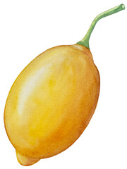 Watercolor lemon set. Half, slice, green leaf, branch of summer tropical fruit. Antiviral health food. Perfect for home decor, card making, cocktail menu.