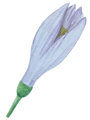 Watercolor lemon set. Half, slice, green leaf, branch of summer tropical fruit. Antiviral health food. Perfect for home decor, card making, cocktail menu.