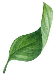 Watercolor lemon set. Half, slice, green leaf, branch of summer tropical fruit. Antiviral health food. Perfect for home decor, card making, cocktail menu.