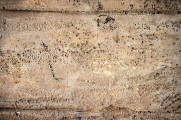 Unique texture of aged concrete wall with natural imperfections captured in indoor setting during daylight