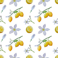 Watercolor lemon set. Half, slice, green leaf, branch of summer tropical fruit. Antiviral health food. Perfect for home decor, card making, cocktail menu.