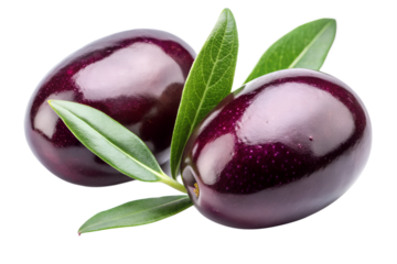 Two ripe kalamata olives with green leaves