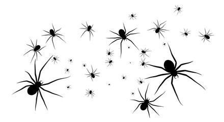 A swarm of black spiders isolated on transparent background