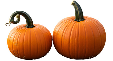 Two bright orange pumpkins isolated on transparent background