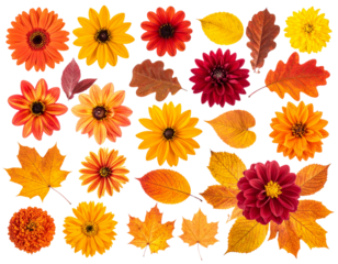 set of arrangements of autumn flowers and fallen leaves, capturing the essence of the