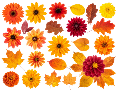 set of arrangements of autumn flowers and fallen leaves, capturing the essence of the