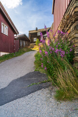 Scenic alley in Røros, surrounded by colorful houses and vibrant flowers in this historic copper mining town. Tourist destination in Trøndelag Norway
