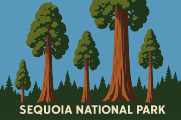 Giant Sequoias on a Sunny Day