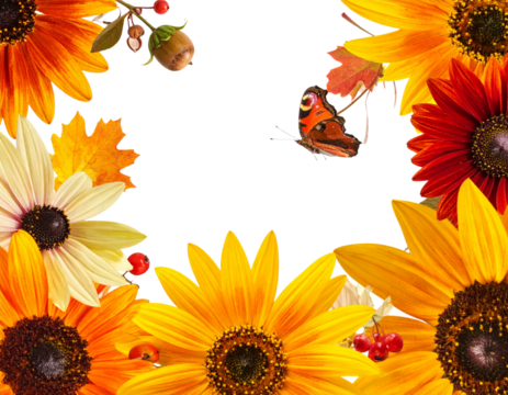 Autumn flower bordre png seasonal botanical, transparent background  