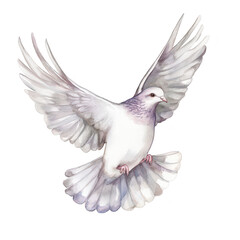 Obraz premium A gracefully soaring white dove with outstretched wings. symbolizing peace and freedom. set against a clean white background. ideal for use in designs promoting tranquility and hope