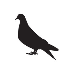 Pigeon silhouette. Clean pigeon silhouette for logos, nature, and city themed designs.