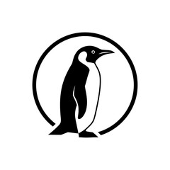 penguin vector illustration