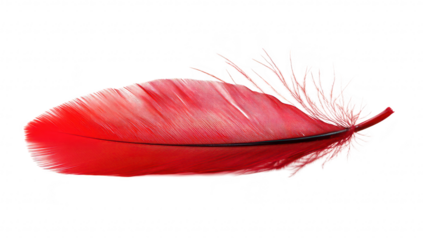A red feather gracefully resting on a clean white surface. its intricate details and soft texture. ideal for use in design. art projects. or nature-themed presentations