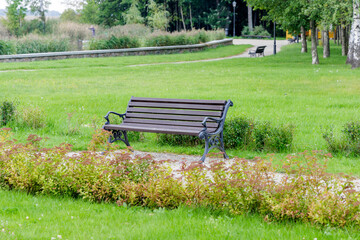 Park Bench in a Serene Setting
