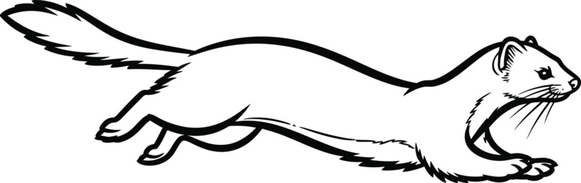 Running ermine illustration on a clean, bright white background