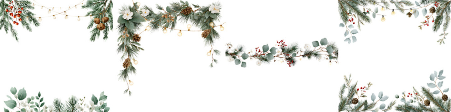 Christmas and Winter Floral Decoration Collection on White