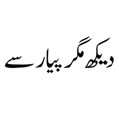 "Pakistani Truck Art Phrase - Dekh Magar Pyar Se (Look but with love)"