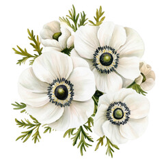 A beautiful arrangement of white anemone flowers with delicate green foliage. set against a clean white background. perfect for use in floral designs. greeting cards. or nature-themed artwork