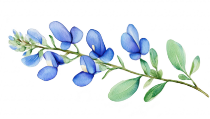A delicate watercolor illustration of a blue flower branch featuring blue petals and lush green leaves. perfect for botanical art. greeting cards. or nature-themed designs
