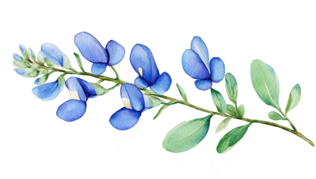 A delicate watercolor illustration of a blue flower branch featuring blue petals and lush green leaves. perfect for botanical art. greeting cards. or nature-themed designs