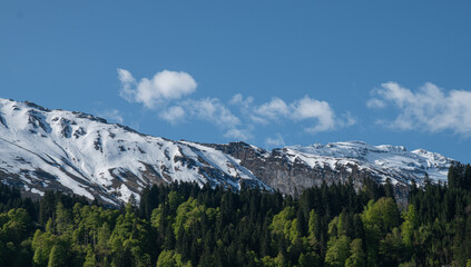 sunny day, morning in Switzerland, Engelberg, and a sunny Alpine mountain cliff, illuminating the snowy and rocky mountain peaks, creating a positive mood, a desire to go mountaineering, green forest 