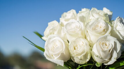 Fototapeta premium bouquet. Dreamy white rose bouquet softly focused against a blue sky, evoking serenity and natural beauty. gardening catalogs, home-decor guides, designed for home decor and floral branding.