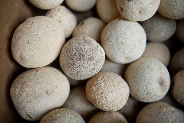 Close up of a wood apple inside the box.