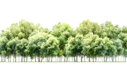 A lush. row of assorted green trees stands tall against a bright white background. creating a serene and peaceful atmosphere. ideal for nature-themed projects and designs
