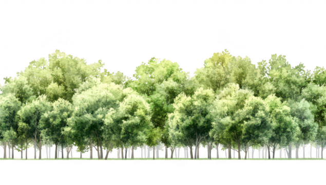 A lush. row of assorted green trees stands tall against a bright white background. creating a serene and peaceful atmosphere. ideal for nature-themed projects and designs - Powered by Adobe