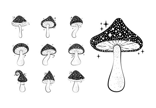 Black And White Magic Mushrooms Nature Illustrations Set
