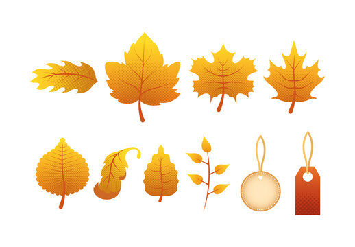 Yellow Autumn Season Sale Illustration Set