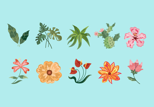 Colorful Plants Flowers Tropical Leaves Illustration Set