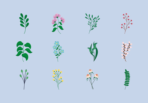 Green Flowers Leaves Branches Nature Illustrations Set