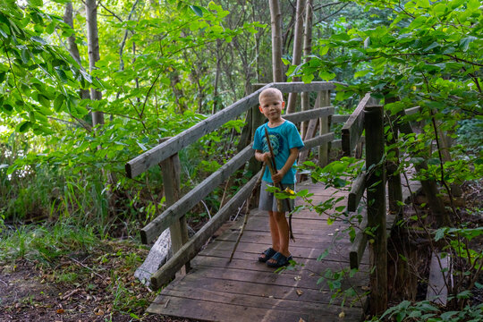 Young boy with walking stick standing on wooden footbridge surrounded by lush green forest vegetation on summer nature trail. Childhood outdoor exploration, hiking adventure and forest discovery.