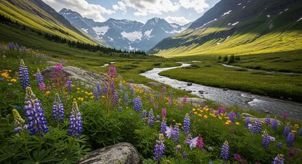 Lush Valley Vista - Wildflowers, River, and Snow-Capped Peaks in Glacier National Park.