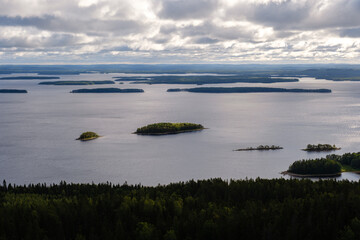 Experience the breathtaking beauty of Koli National Park with its serene lakes and numerous...