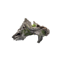 Driftwood aesthetic poster white background	
