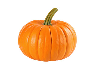 Bright orange pumpkin with green stem isolated on black background for autumn harvest festival