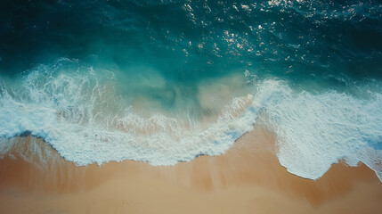 Tranquil Sandy Beach with Clear Waters and Palm Trees