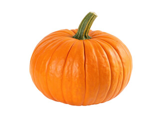 Bright orange pumpkin isolated on white background for autumn harvest and seasonal decoration ideas