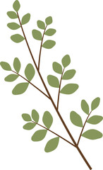 Vector illustration of branch with green leaves
