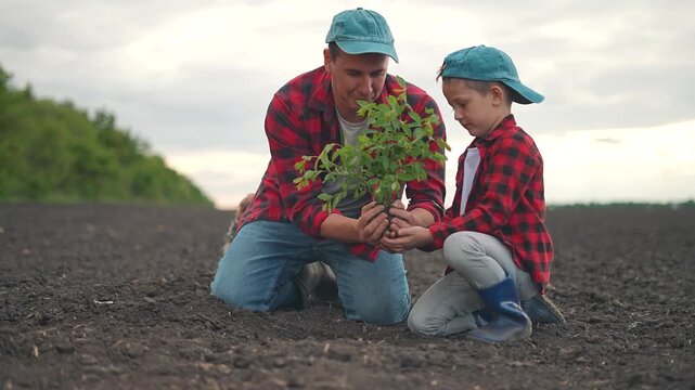 Boy and farmer father work together on soil planting green sapling. Nature and growth surround them in outdoor field. Connection through planting. Father. Father. Father. Soil. Soil. Soil. Growth.